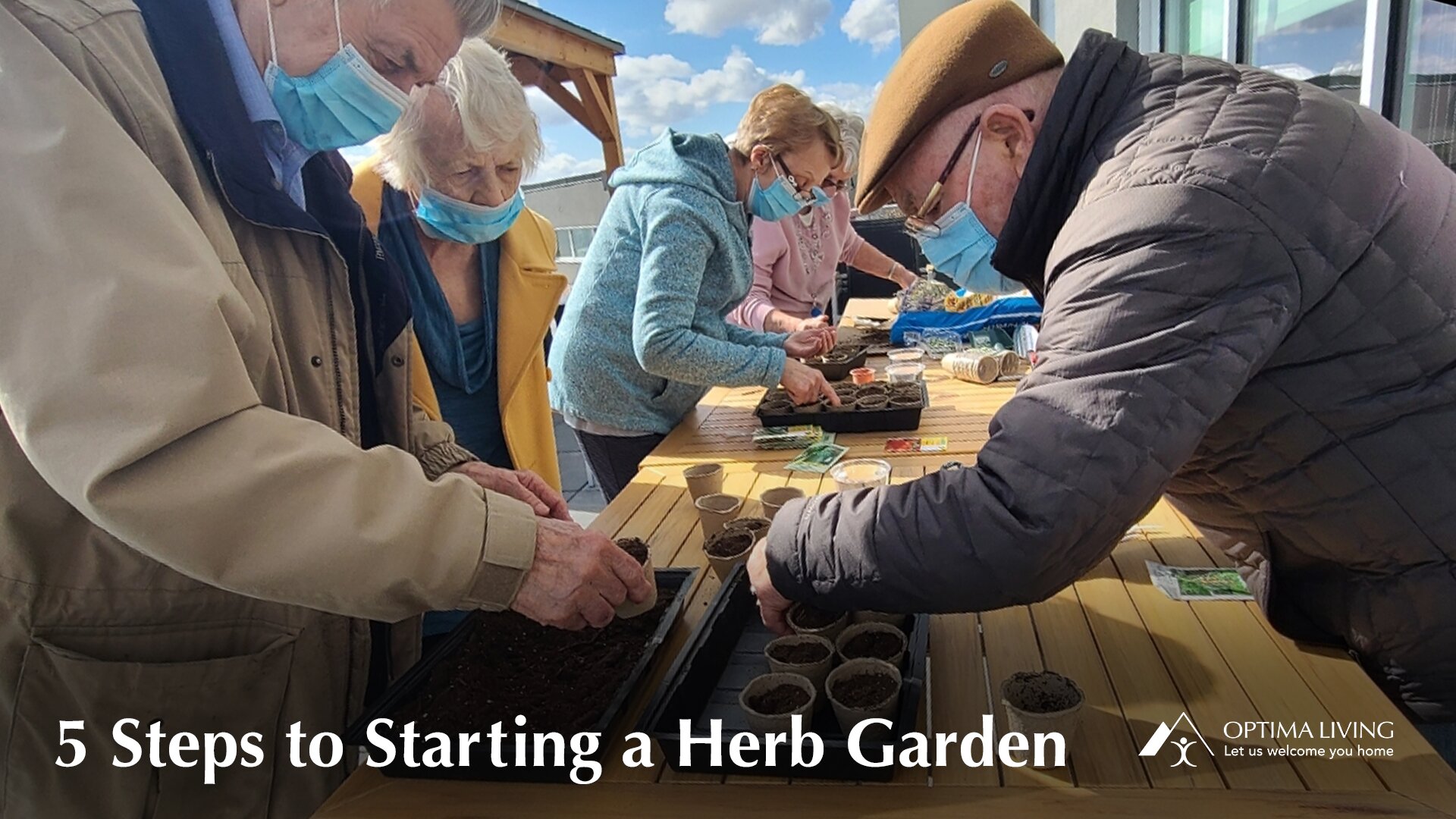 A gathering of men and women planting herbs in the garden a fun activity for seniors